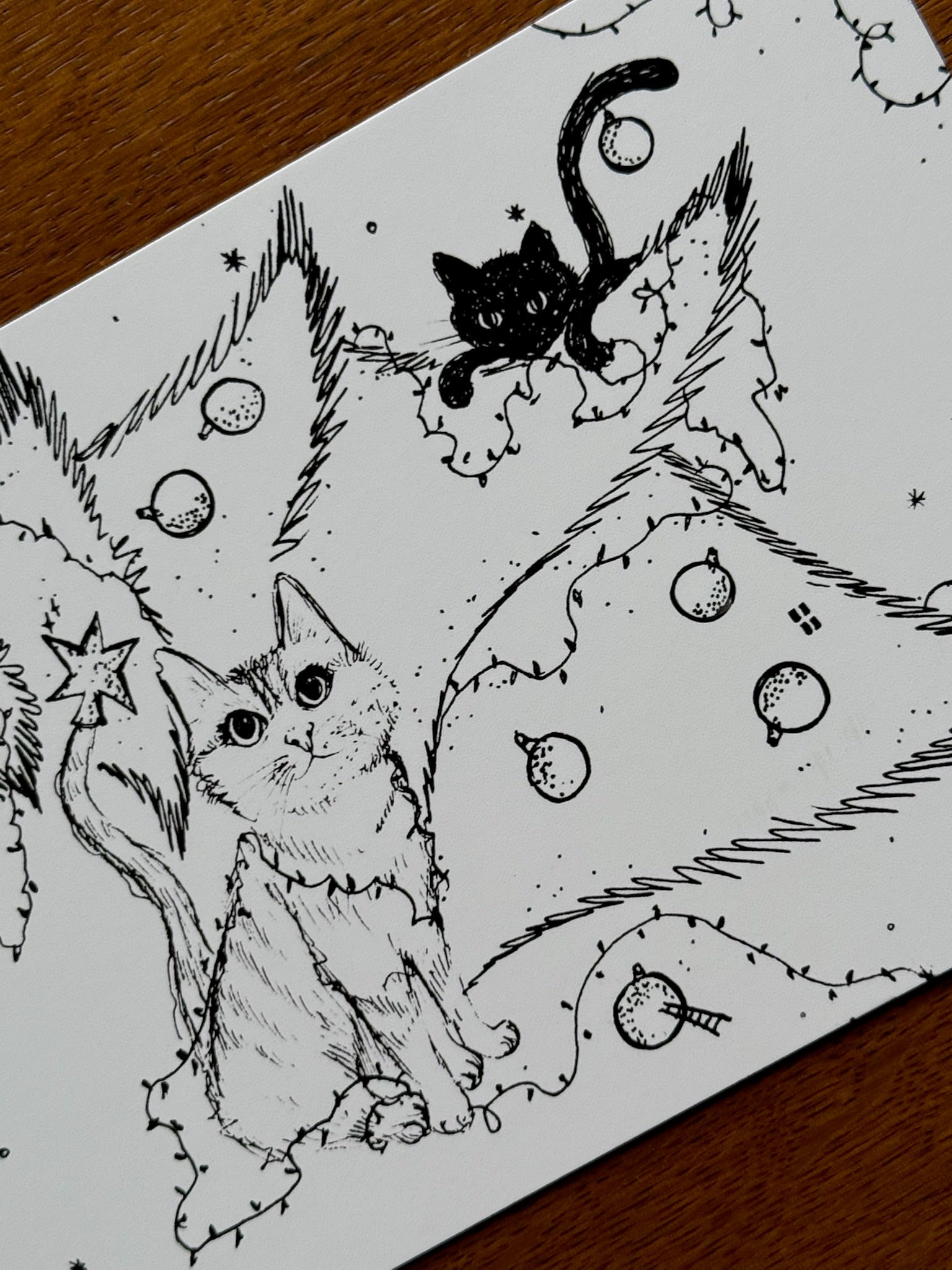 stichting molenweide x sophie basseleur