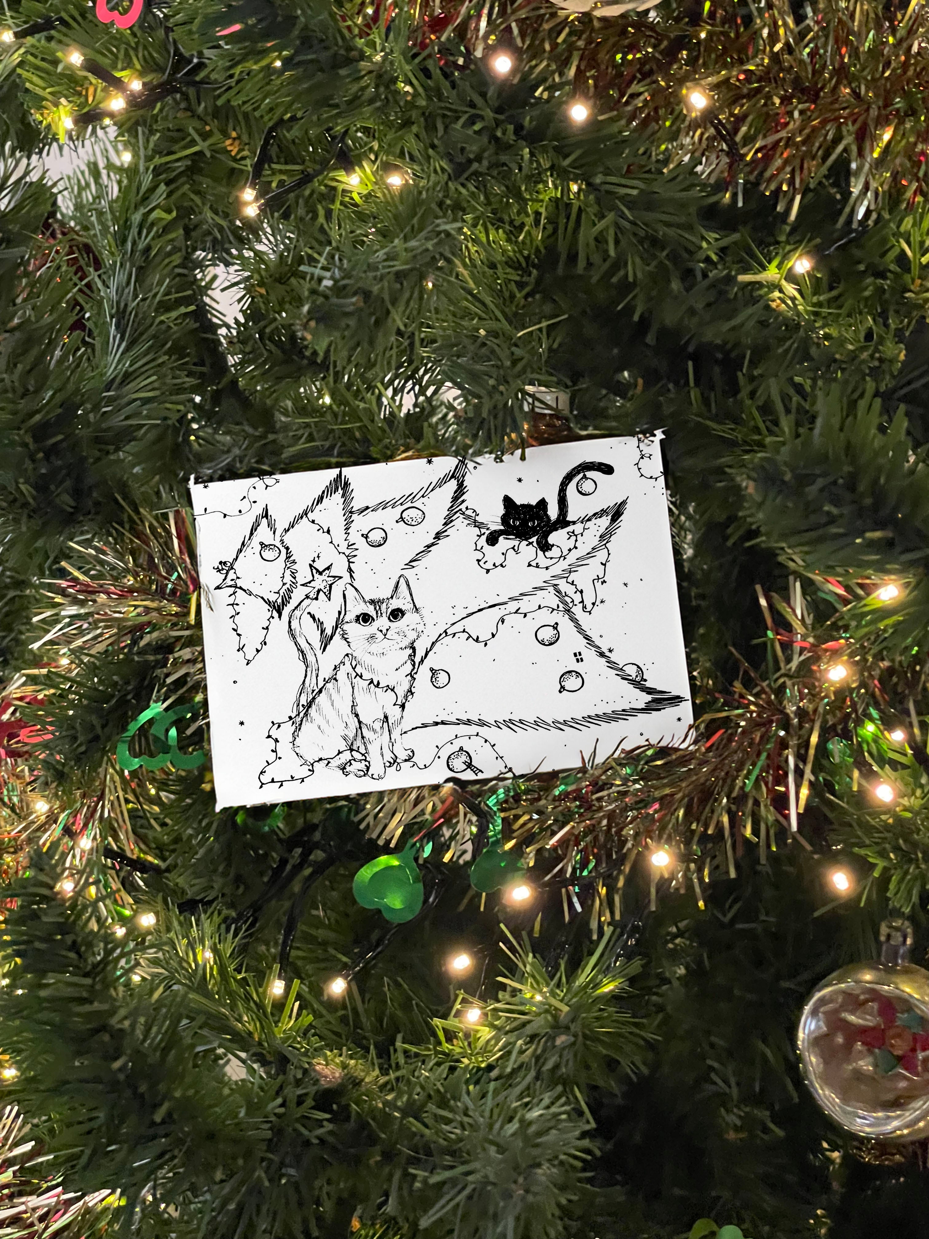 stichting molenweide x sophie basseleur